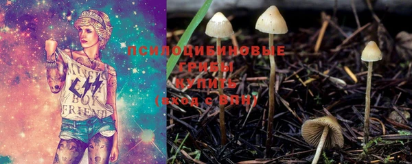 кокс Няндома