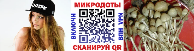 наркошоп  Абдулино  Псилоцибиновые грибы Psilocybine cubensis 